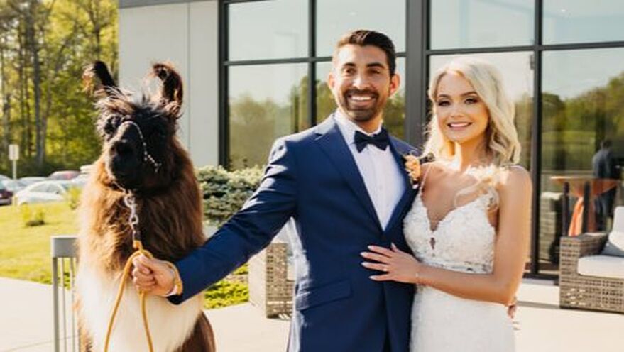 Bride and groom with llama